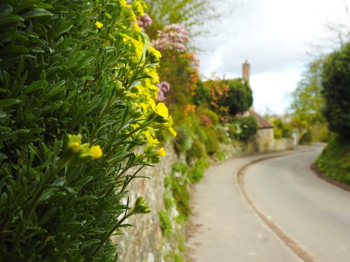 Church Combe - Petworth West Sussex酒店 外观 照片